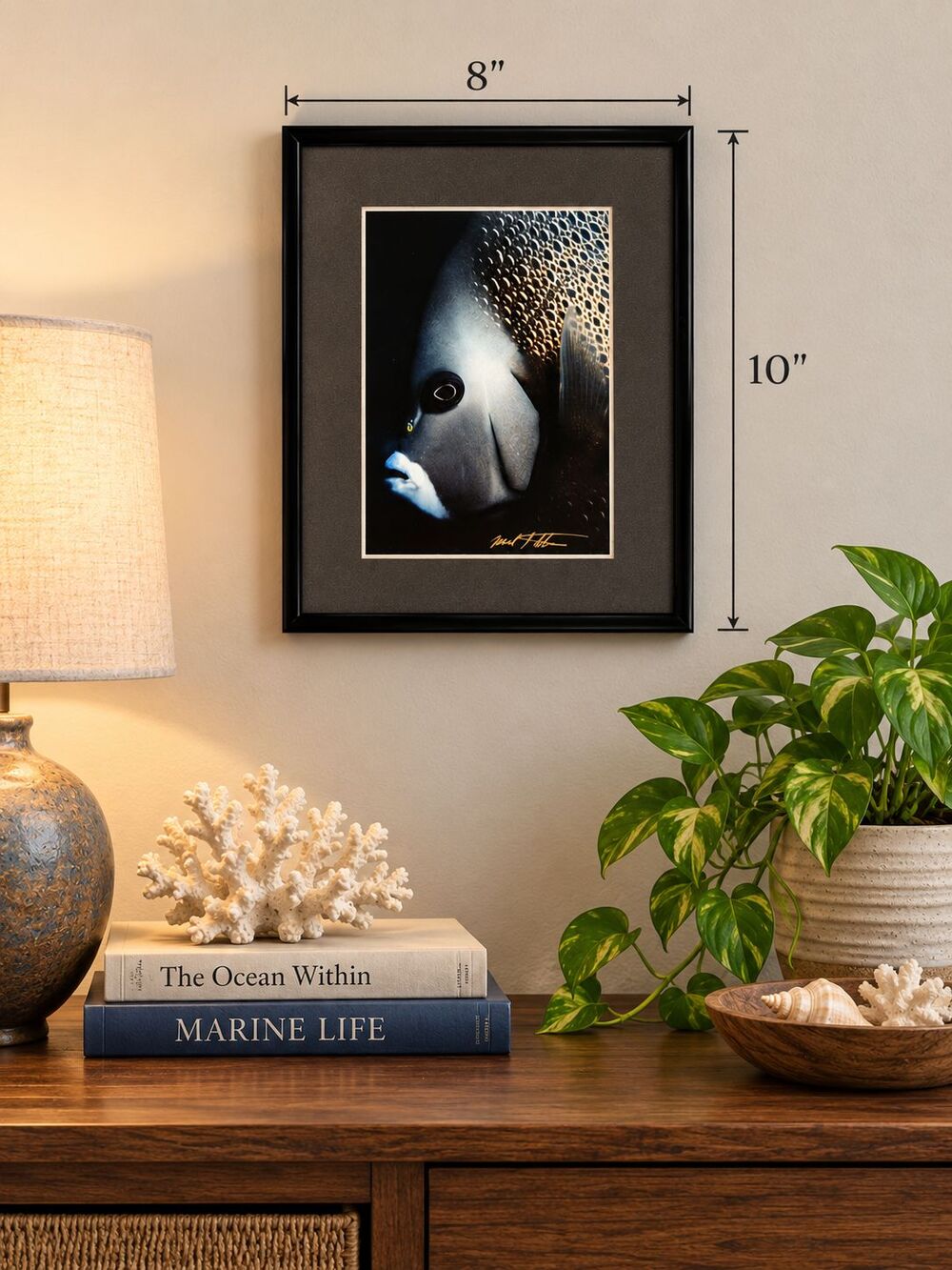 Mark J Thomas Gray Angelfish Natural Reflections Signed Framed Art 8x10